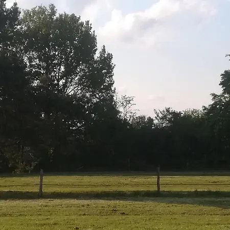 Les Pres Du Petit Morlu - Proche Beauval Vila Saint-Romain-sur-Cher Exterior foto
