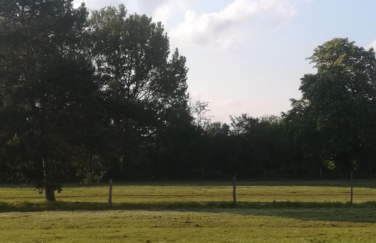 Les Pres Du Petit Morlu - Proche Beauval Holiday home